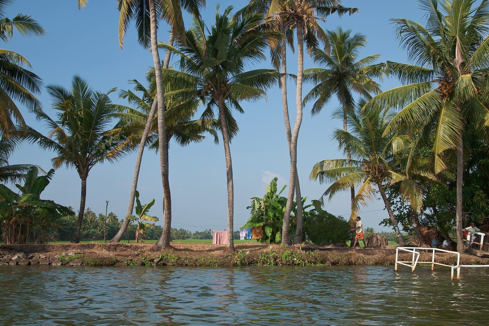 The Ultimate Guide to Kerala Backwaters photo 1