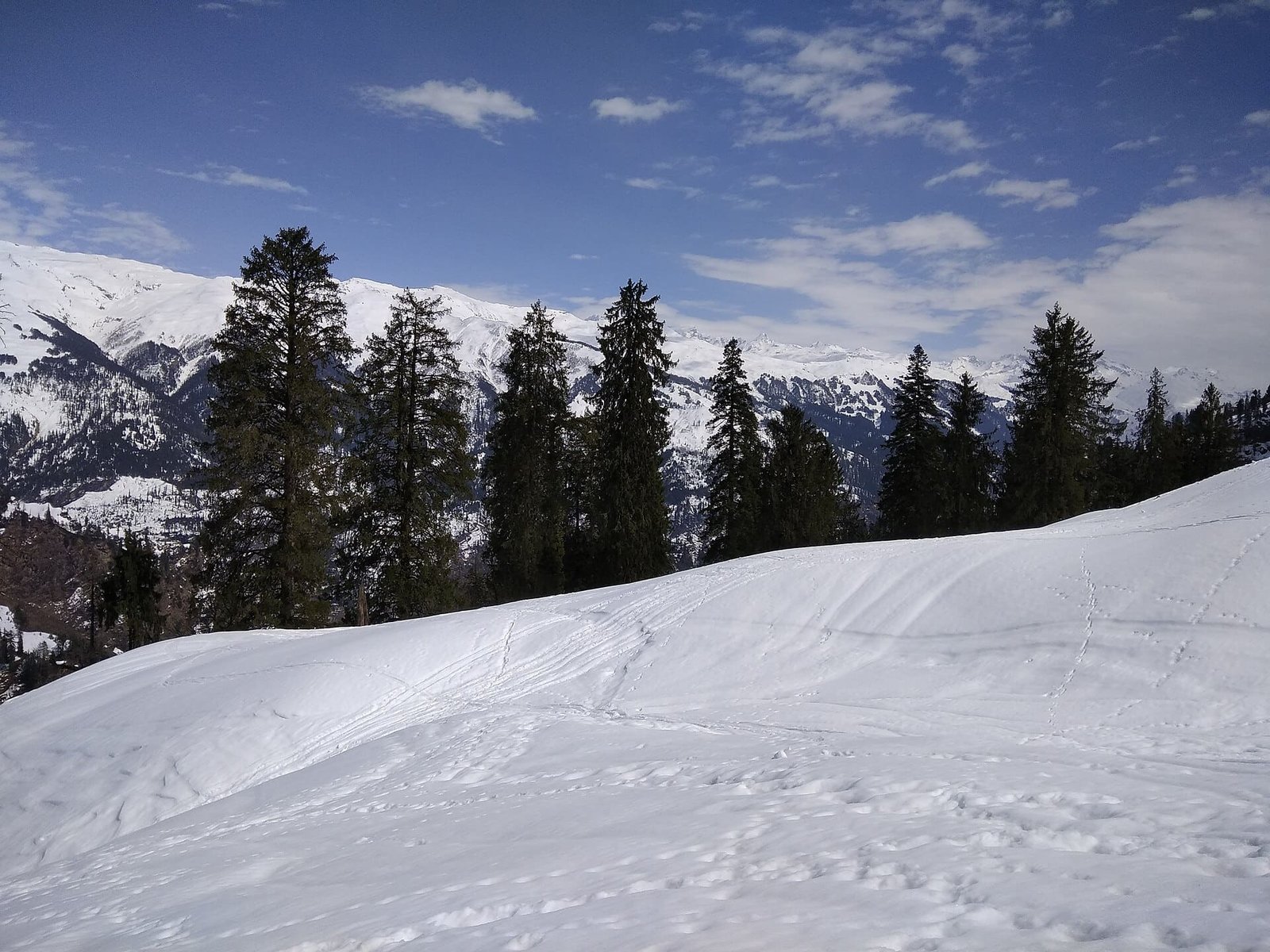 Discover the Misty Hills of Manali